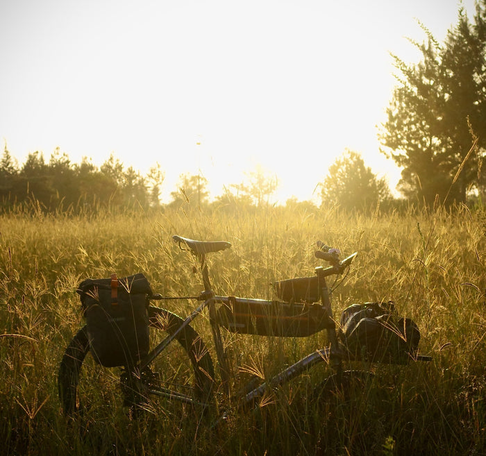 Loaded touring bicycle standing in a grassy field illuminated by golden hour sunlight.