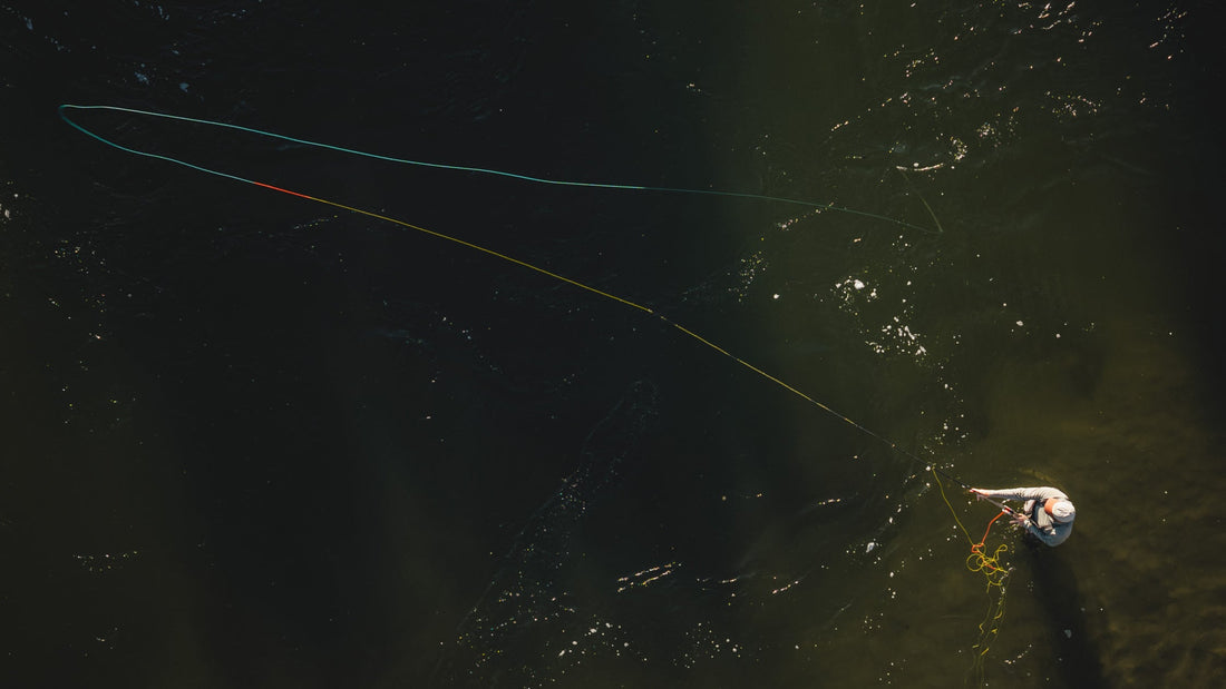Aerial top-down view of an angler casting a fly fishing line into dark water.