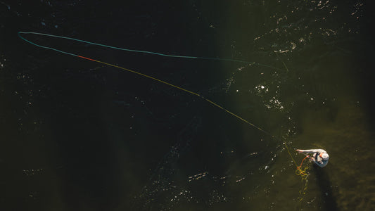 Aerial top-down view of an angler casting a fly fishing line into dark water.