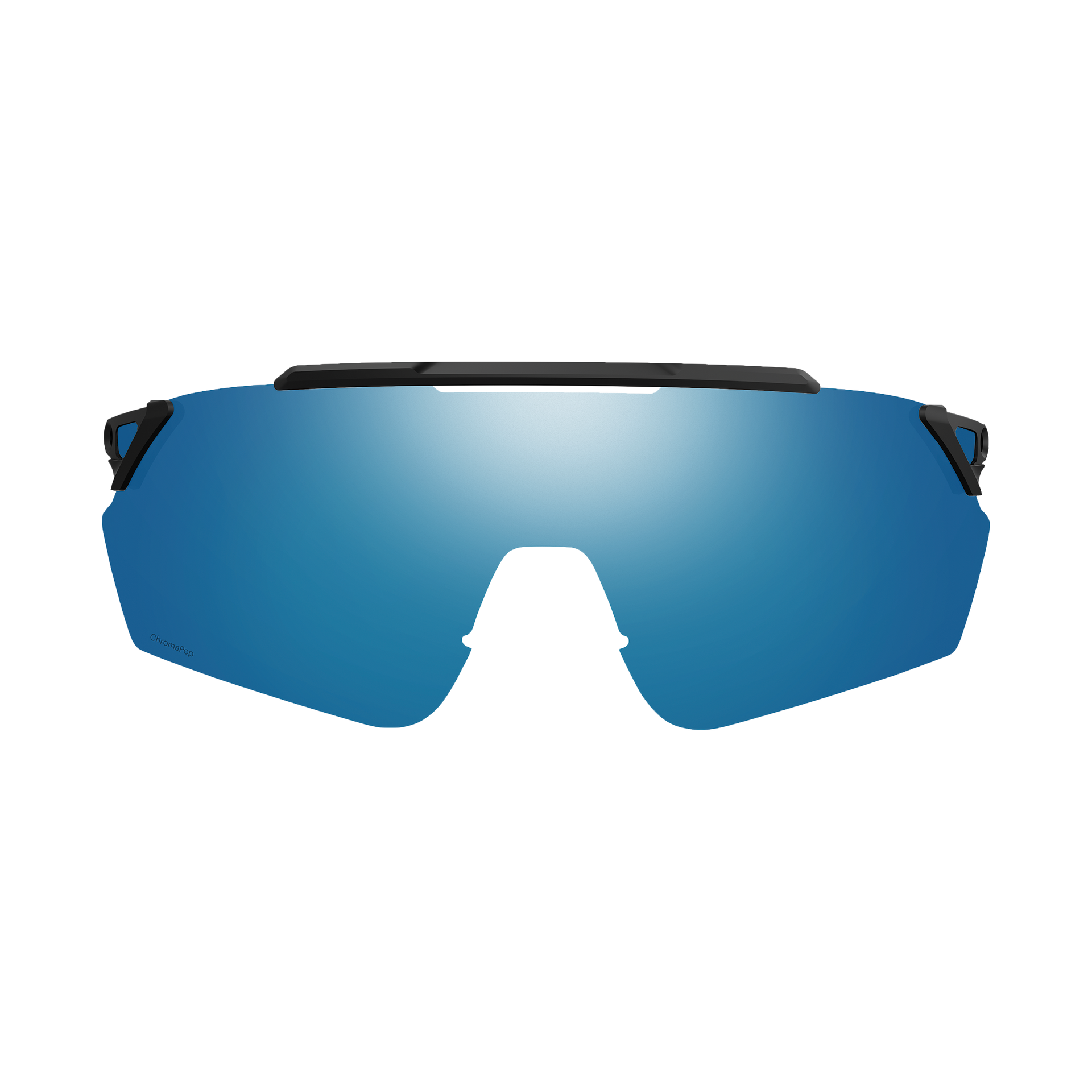 Ruckus Replacement Lens | Lens | Smith Optics