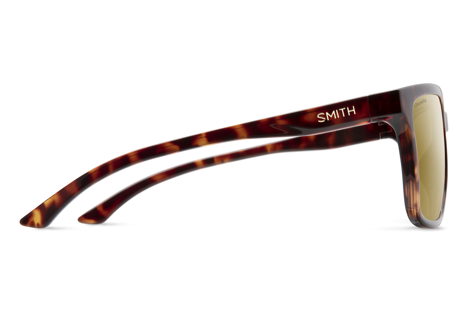 Shoutout RX, Prescription + Matte Tortoise + ChromaPop Polarized Brown