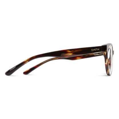 Gracenote RX, Black + Clear