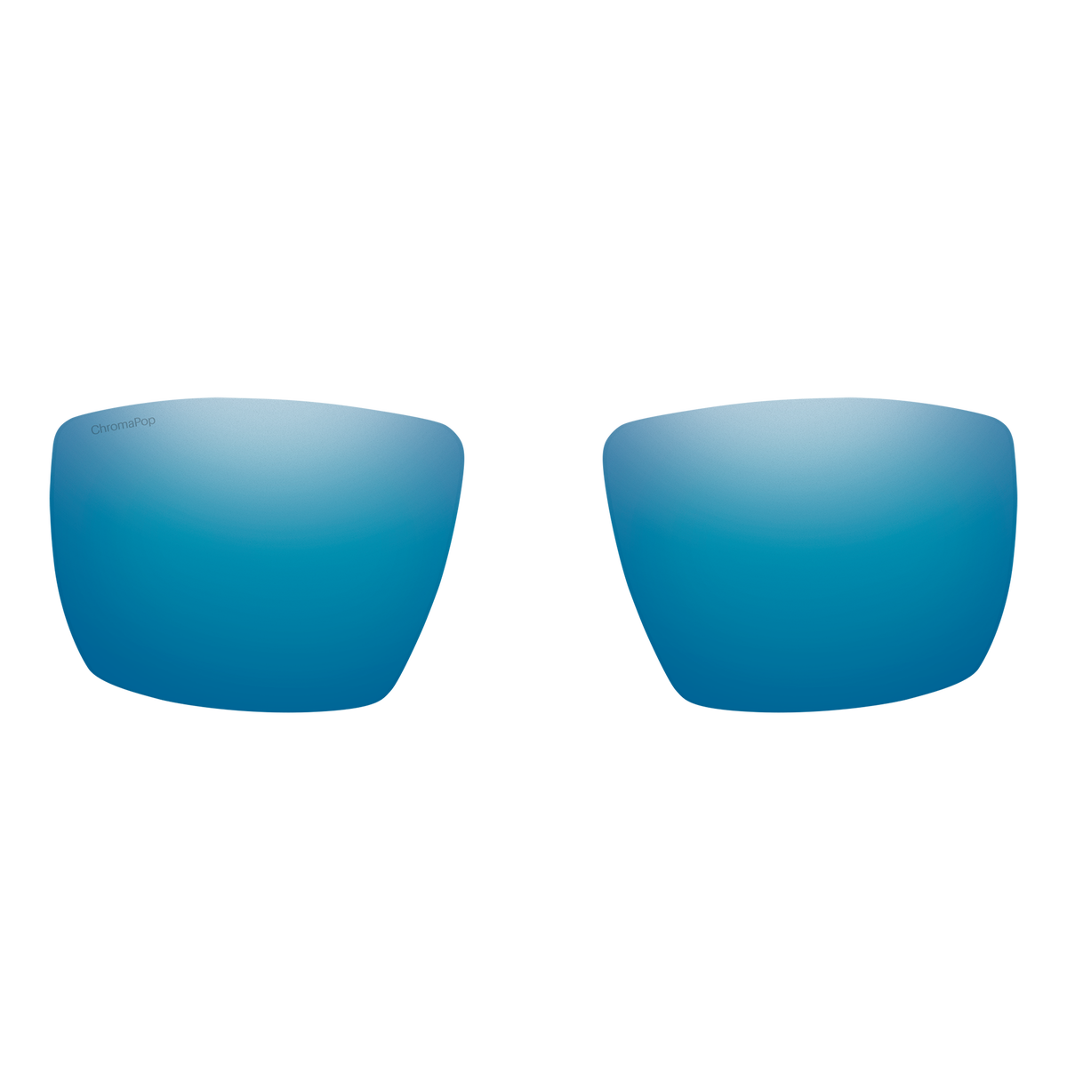 Guide's Choice Sunglass Replacement Lens