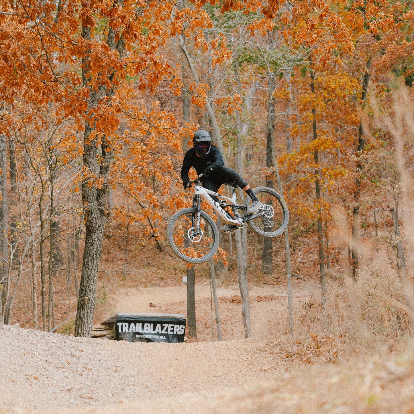 Hardline Carbon Mips®