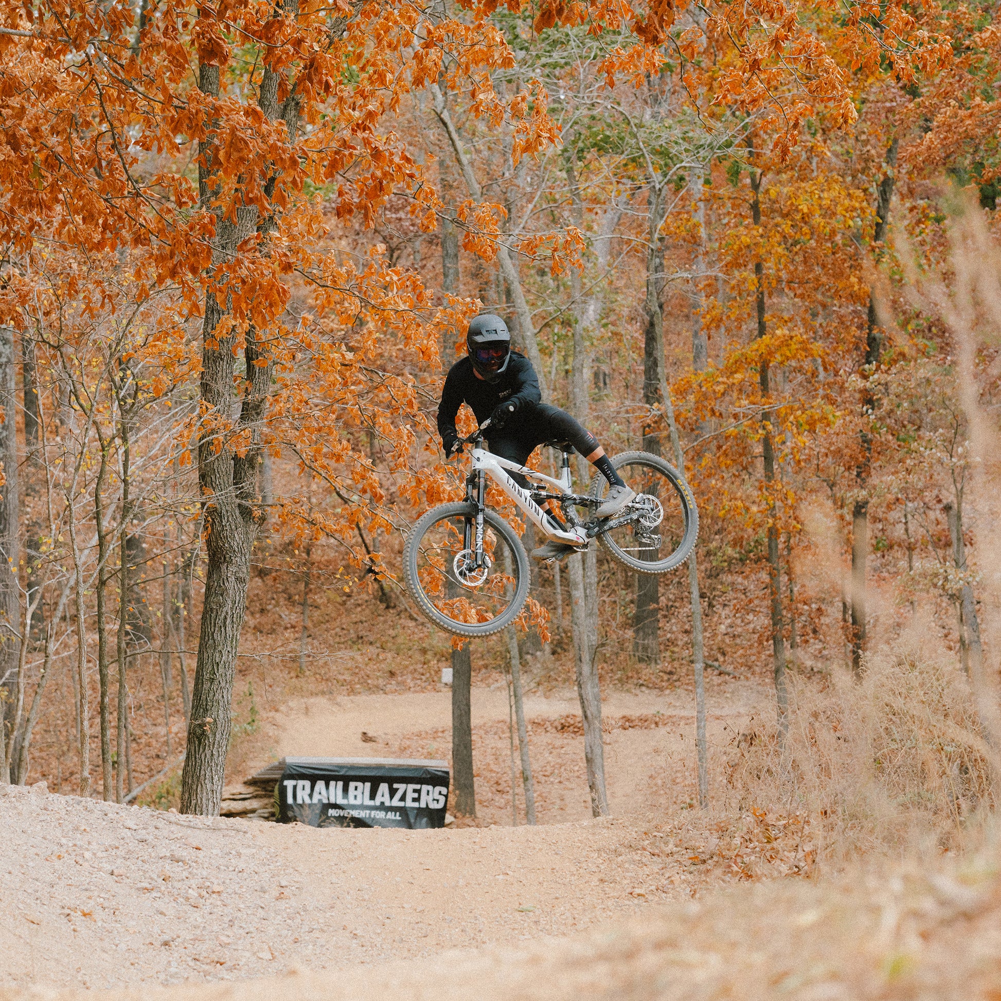 Hardline Carbon Mips®, Carbone noir mat + S