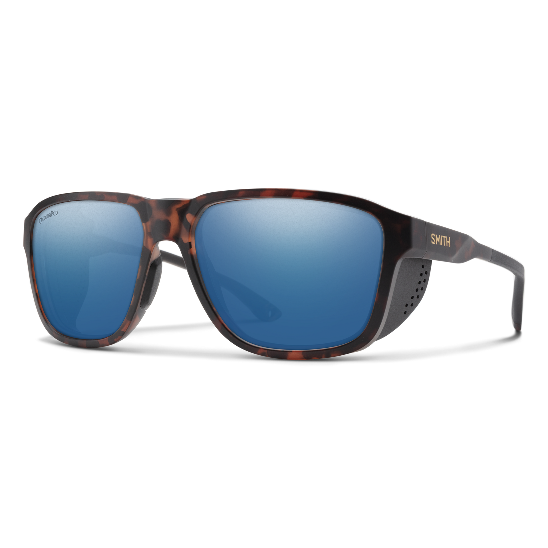 matteTortoise_cpPolarizedBlueM