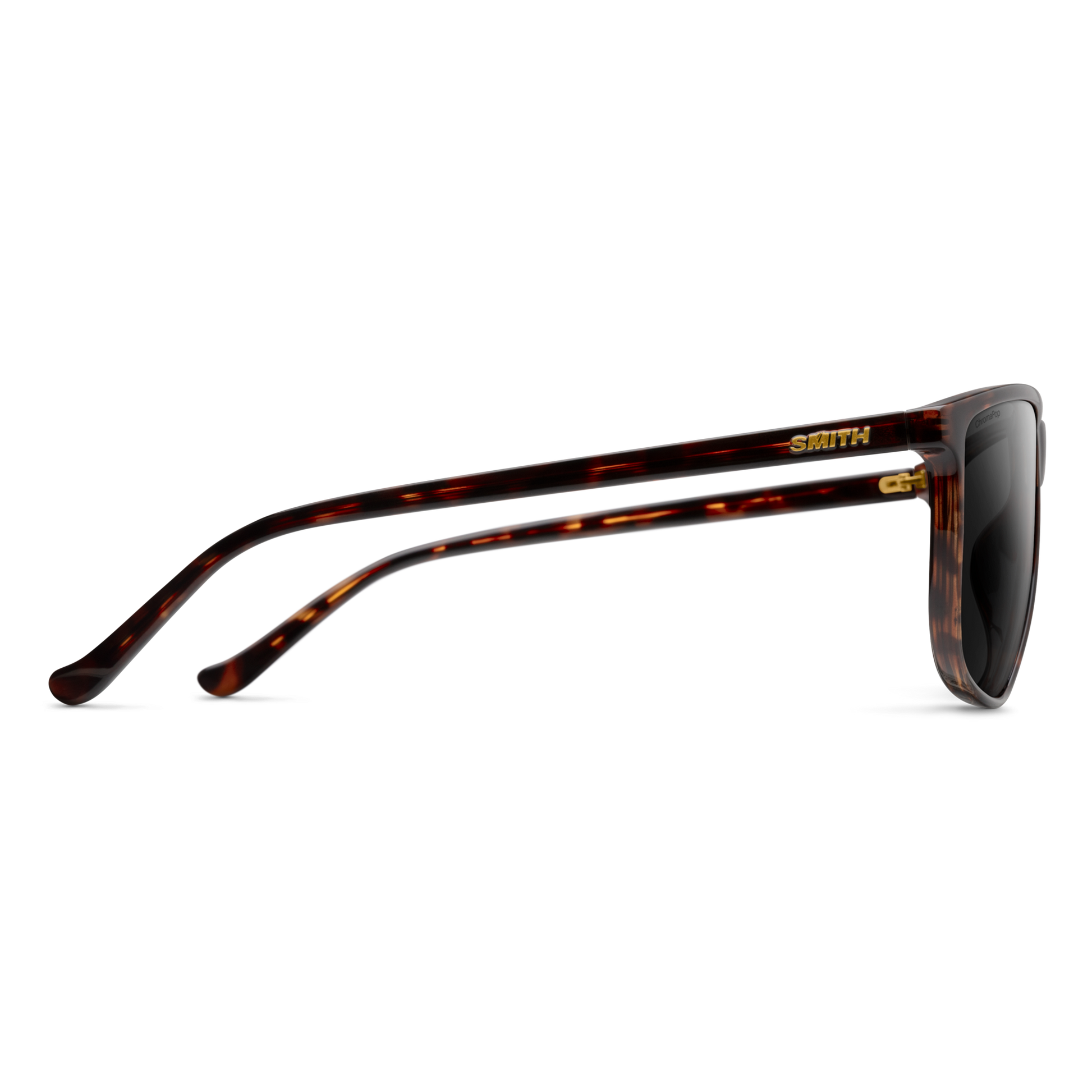 Mono Lake RX, Prescription + Tortoise + ChromaPop Polarized Brown