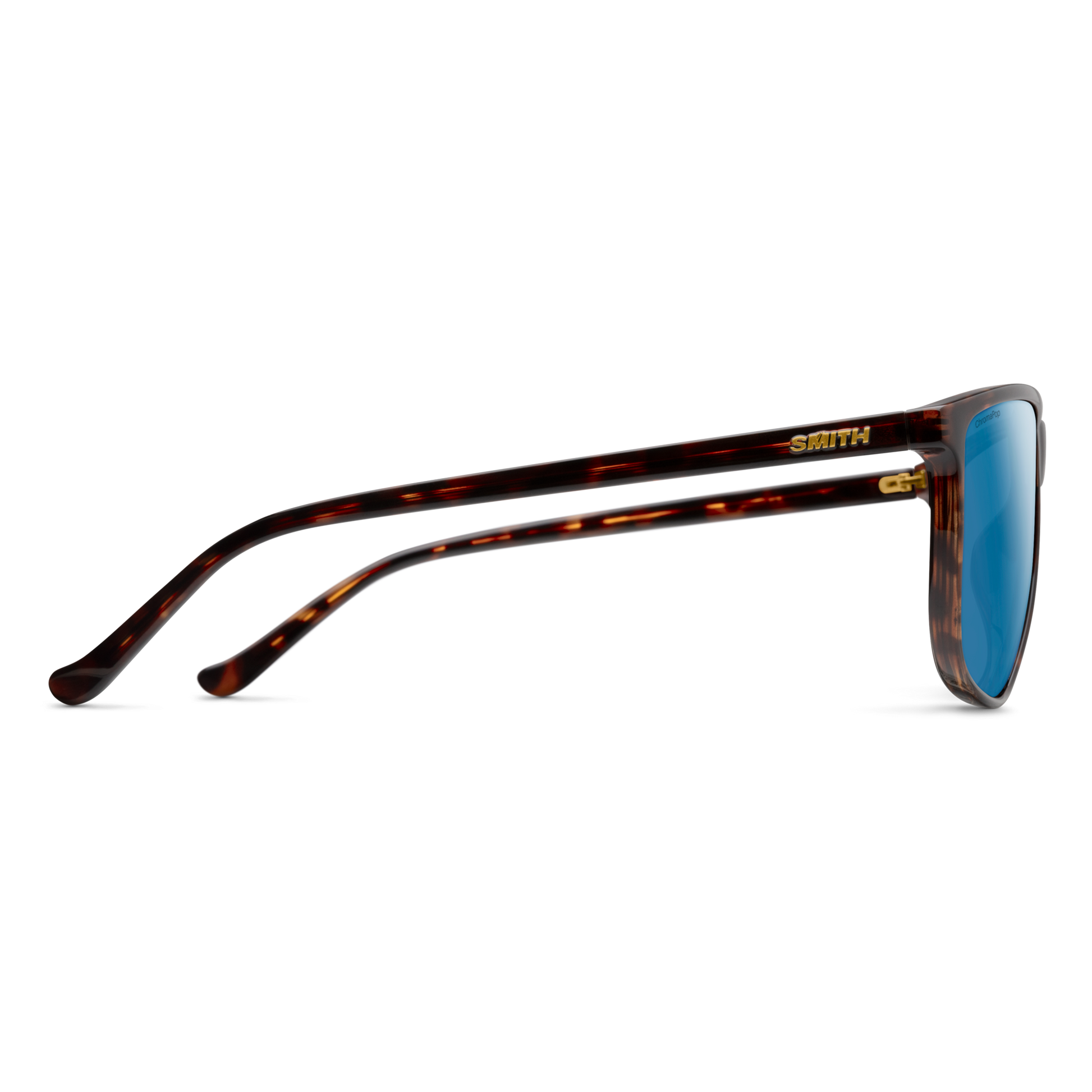 Mono Lake RX, Prescription + Tortoise + ChromaPop Polarized Brown