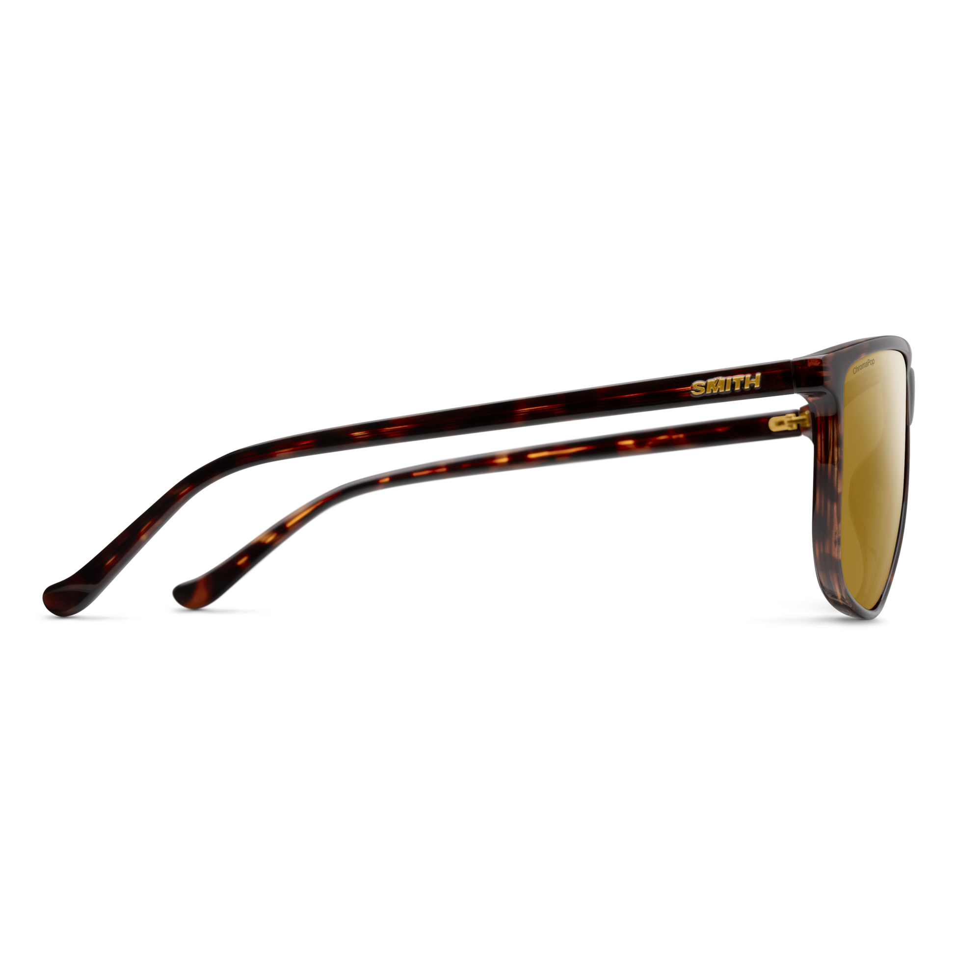 Mono Lake RX, Prescription + Tortoise + ChromaPop Polarized Brown