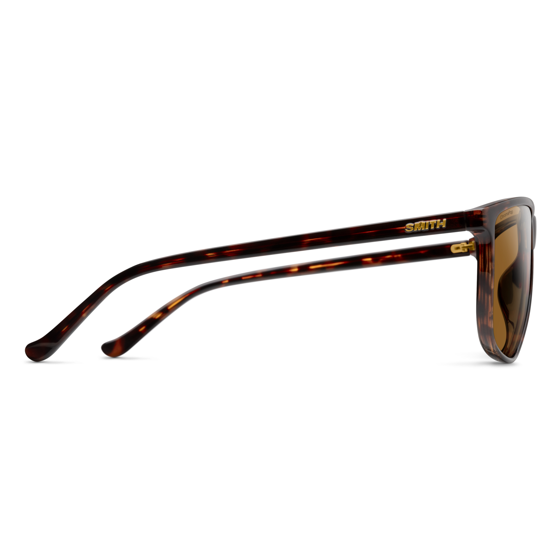 Mono Lake RX, Prescription + Tortoise + ChromaPop Polarized Brown