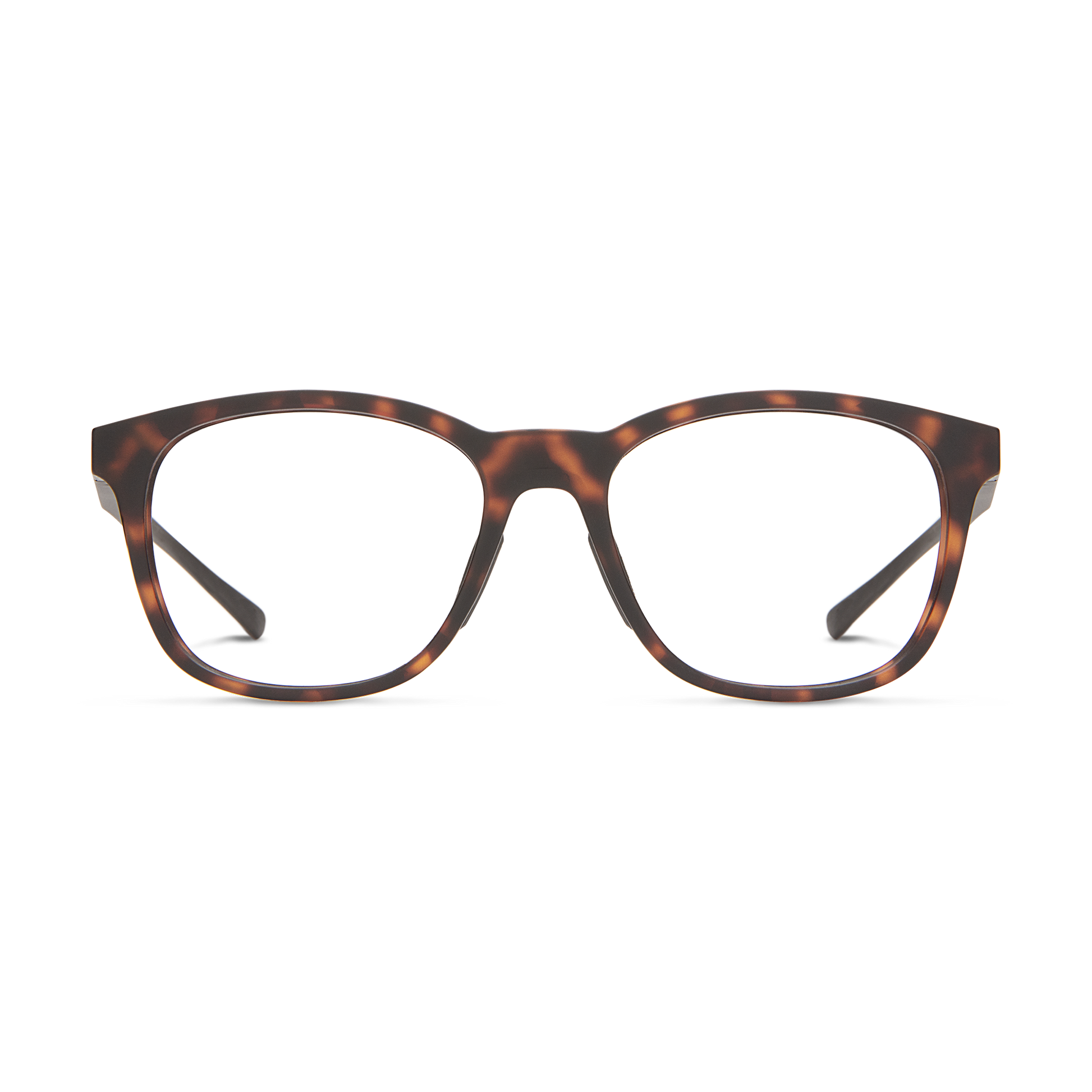 Southside RX, Black + Clear