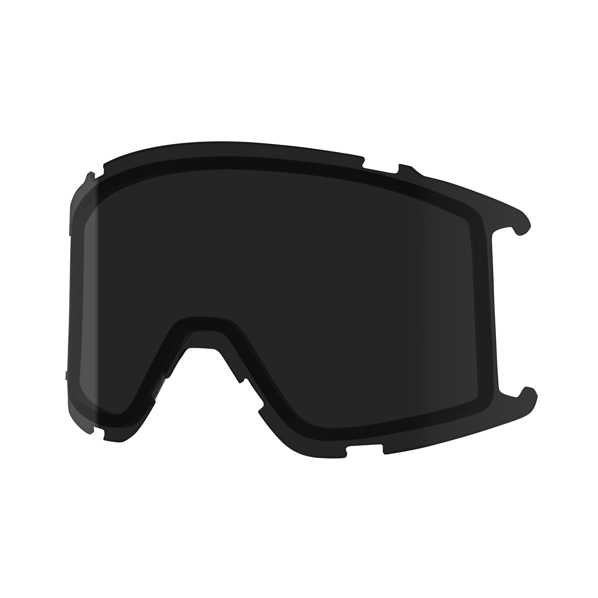 Squad S Replacement Lens | Lens | Smith Optics