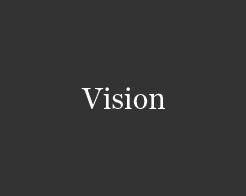 Vision