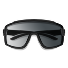 Wildcat, Matte Black + Photochromic Clear to Gray Lens, hi-res